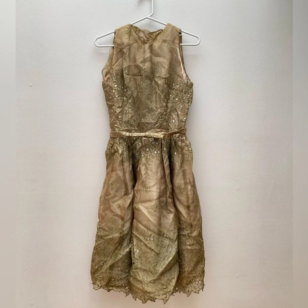 VINTAGE - Stunning 1950’s Green Chiffon Eyelet Embroidered Dress